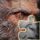 Jigsaw Faction